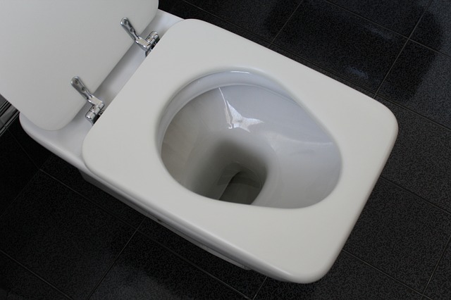 blocked toilet plumber