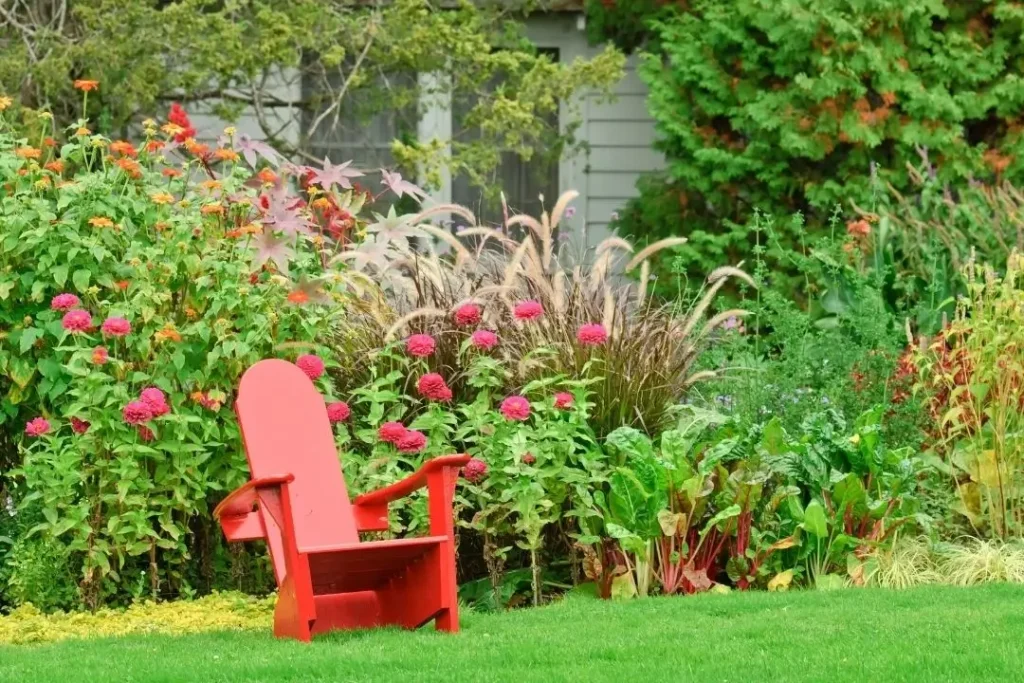 Lush garden with chair
