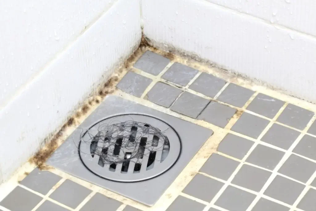 mould on bathroom floor