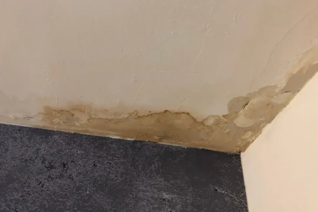 ceiling water leak